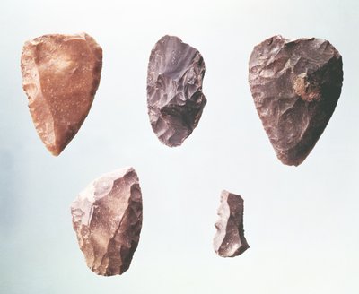 Prehistoric Stone Tools from the Grotte de Placard, 80000-35000 BC by Paleolithic
